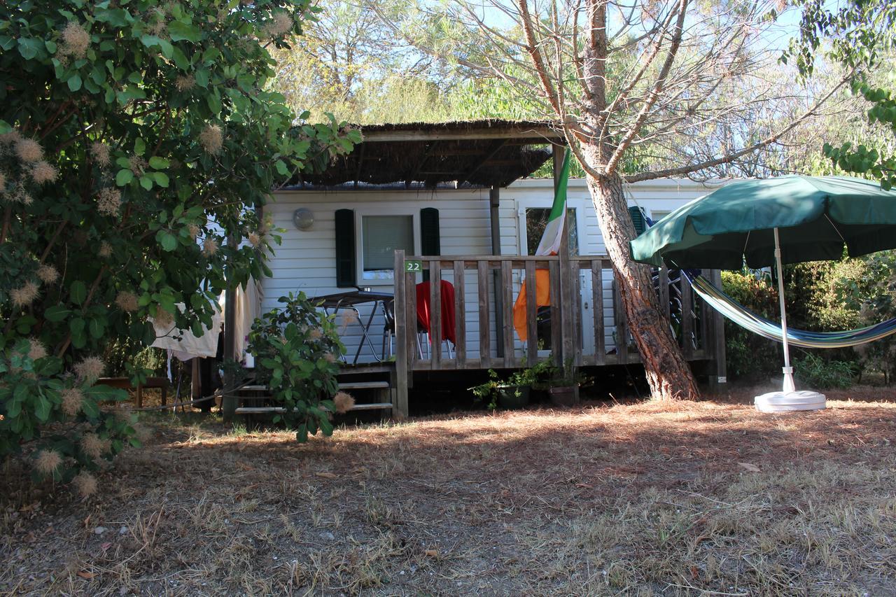 Camping Forcalquier Les Routes De Provence Hotel Екстериор снимка
